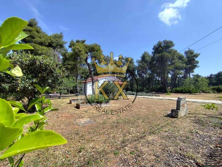 Dionysos, Athens for sale