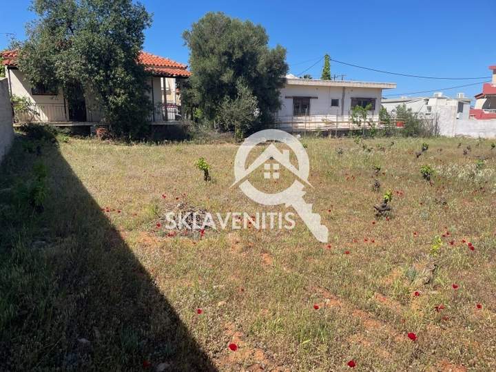 Spata and Artemida, Athens for sale