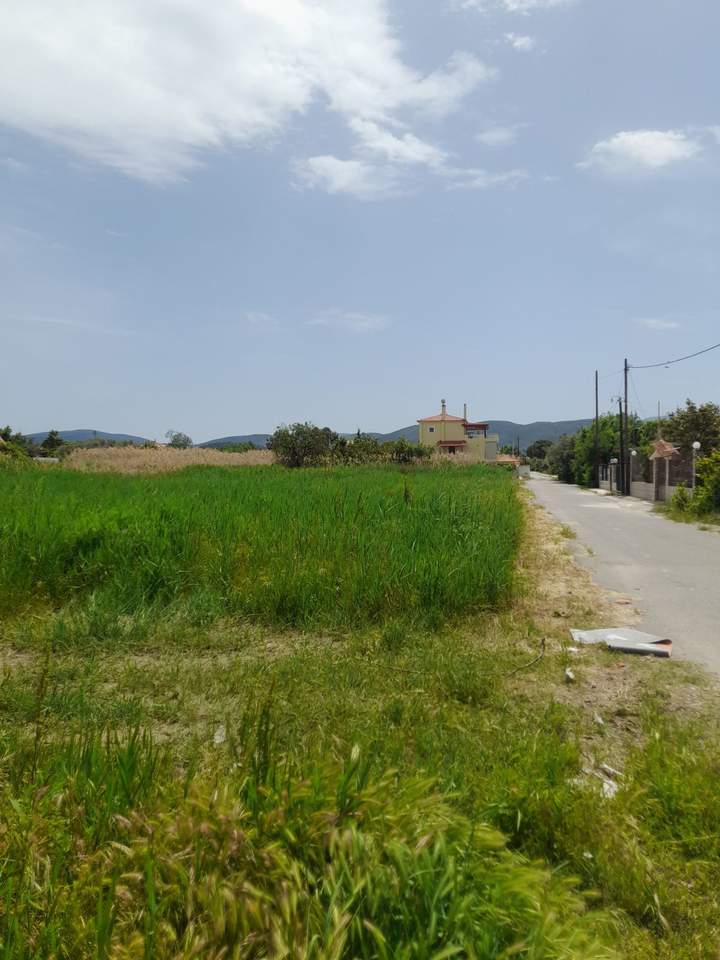 Oropos, Athens for sale