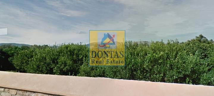 Chios for sale