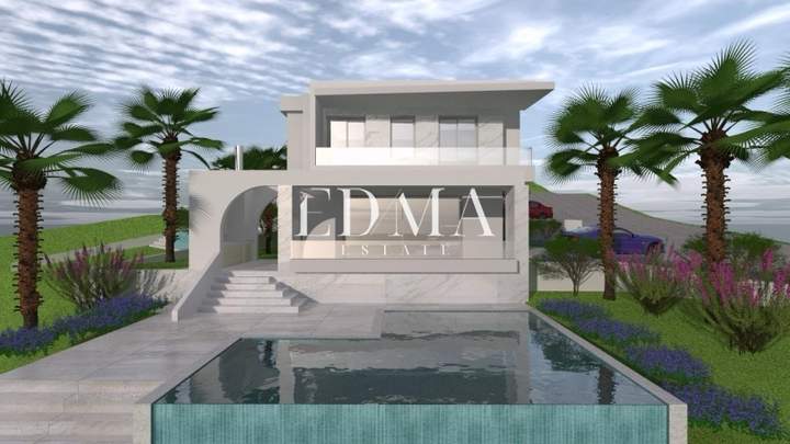 תמונת קסנדרה, כלקידיקי למכירה