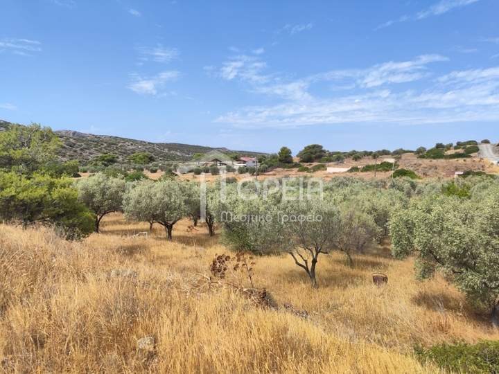 Palea Fokea, Saronikos, Athens for sale