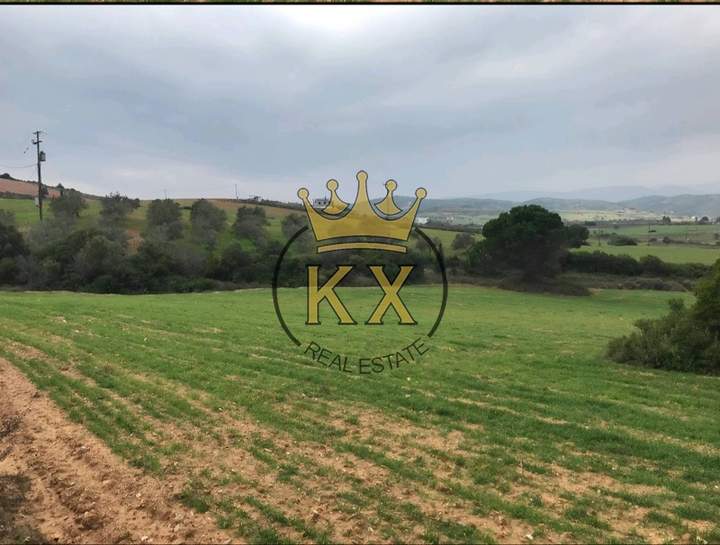 תמונת קימי-אליברי, אוויה למכירה