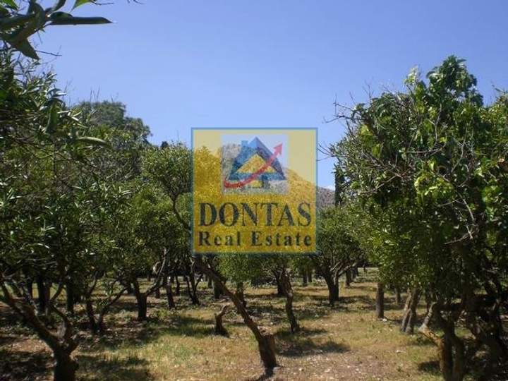 Chios for sale
