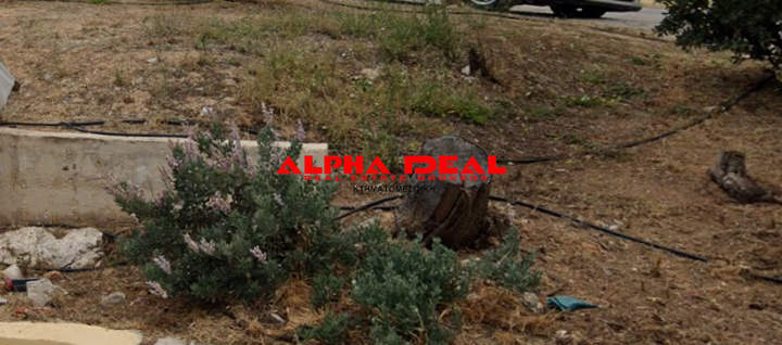 Perama, Athens for sale