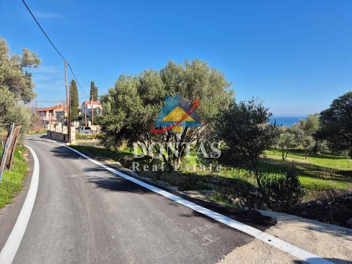 Chios for sale