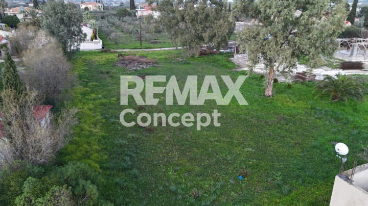 תמונת זקינתוס למכירה