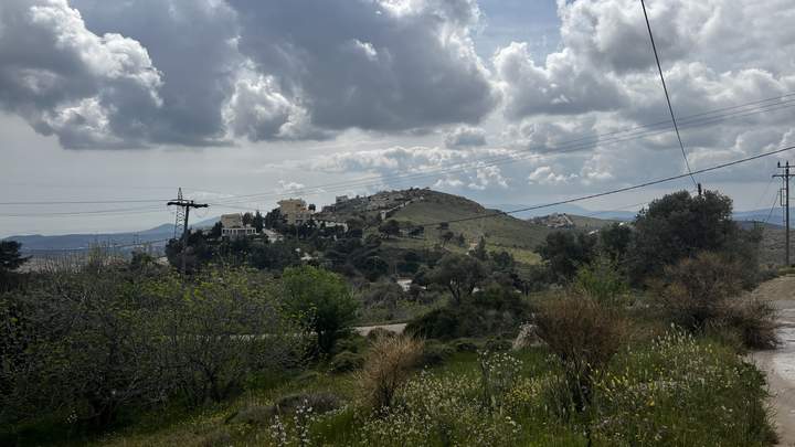 תמונת פאנטלי, אתונה למכירה