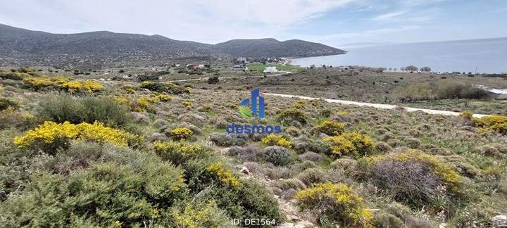 תמונת קאריסטוס, אוויה למכירה