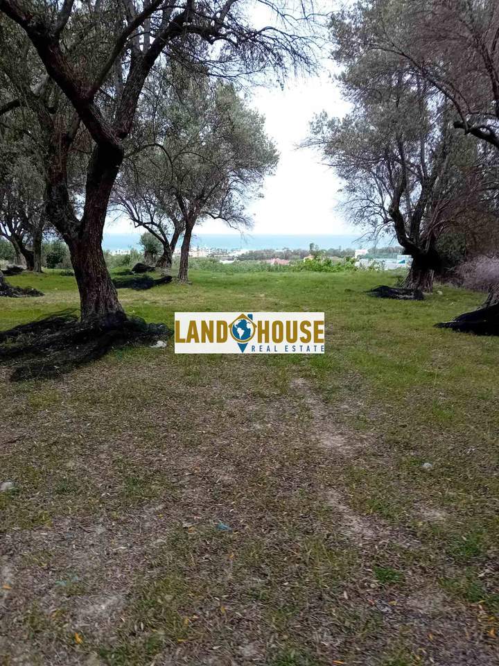 Pigi - Agios Dimitrios, Rethymnon, Crete for sale