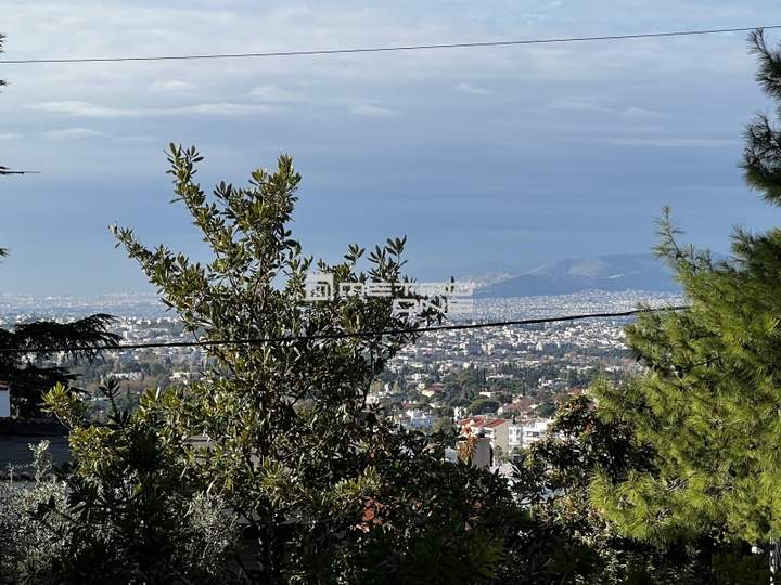 תמונת קיפיסיה, אתונה למכירה