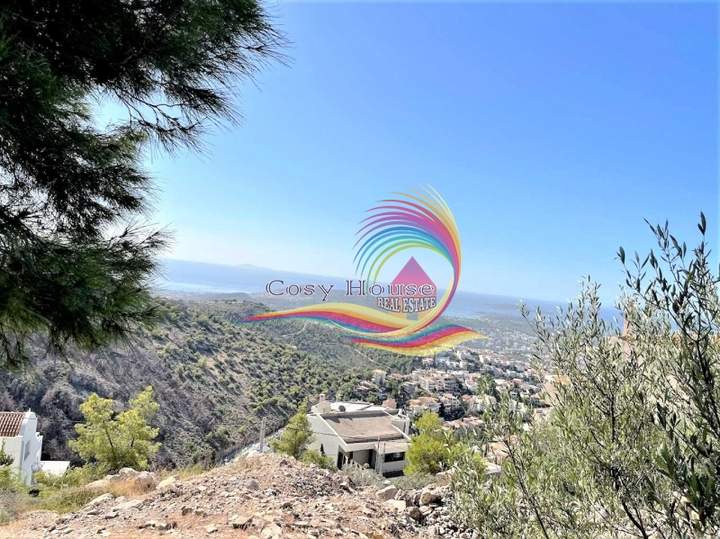 תמונת וולה, וארי - וולה -ווליאגמני, אתונה למכירה
