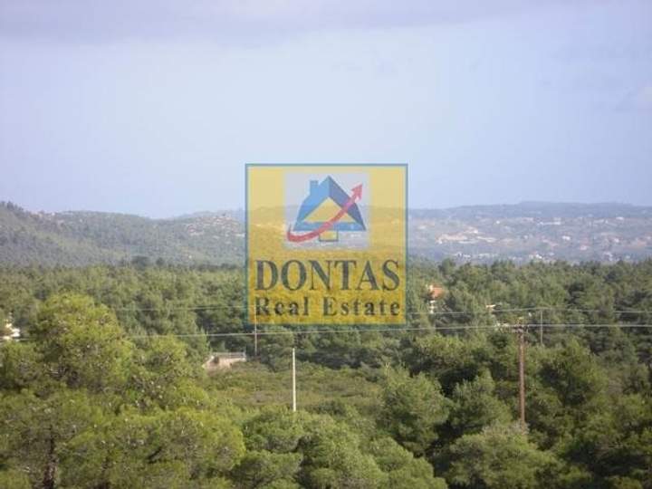 Oropos, Athens for sale