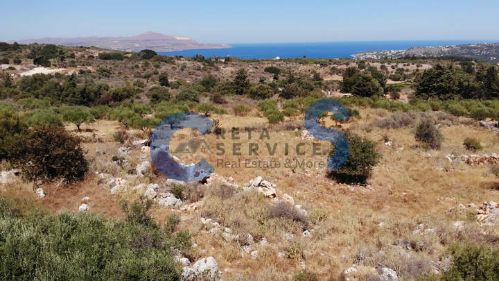 תמונת אפוקורנס, כרתים למכירה