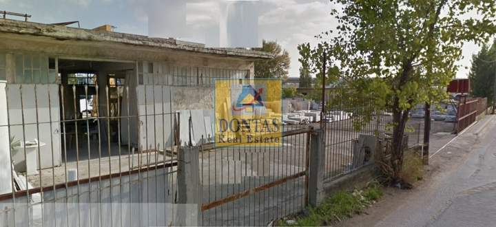 תמונת מטמורפוסי, אתונה למכירה