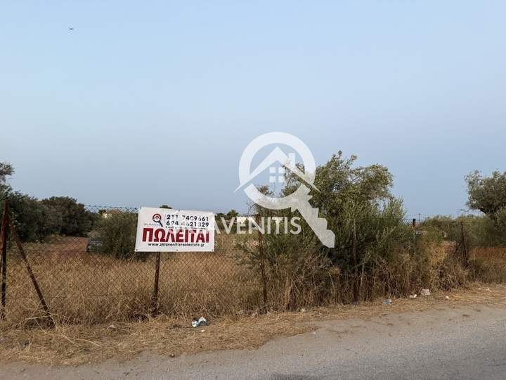 Spata and Artemida, Athens for sale