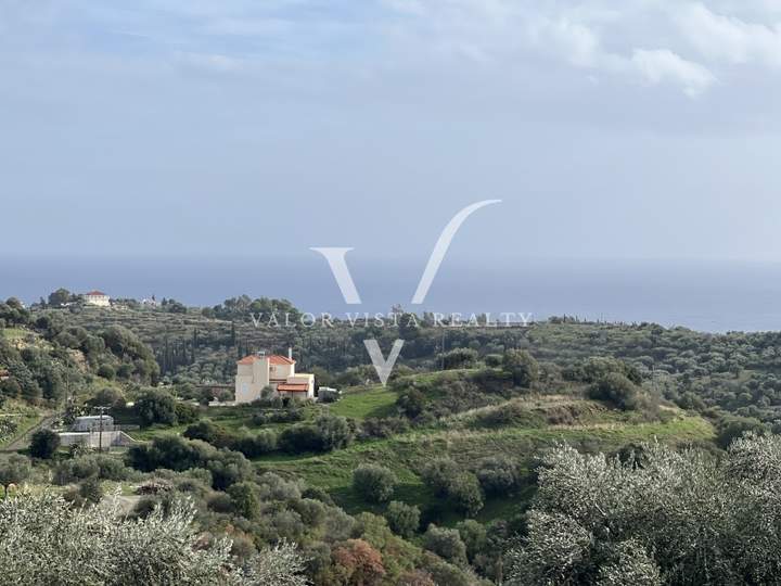 תמונת פילוס ונסטור, פלופונס למכירה