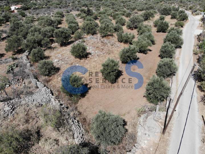 תמונת אפוקורנס, כרתים למכירה