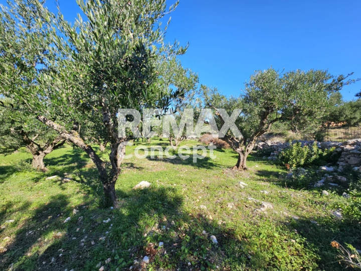 Zakynthos for sale