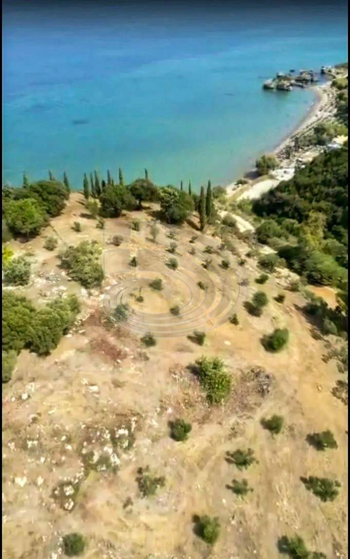 Zakynthos for sale