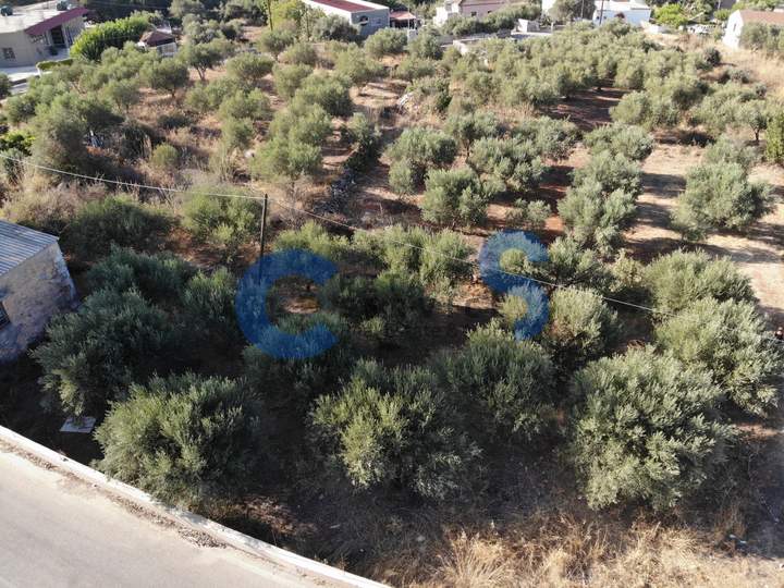 תמונת אפוקורנס, כרתים למכירה