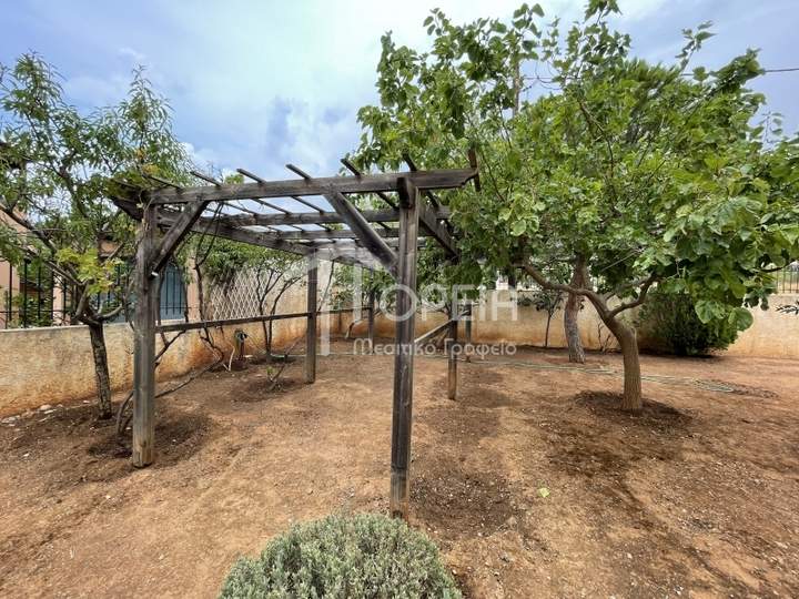 תמונת אנאוויסוס, סרוניקוס, אתונה למכירה