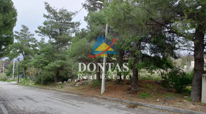 Dionysos, Athens for sale