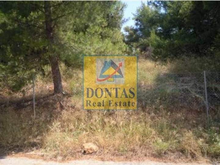 Dionysos, Athens for sale