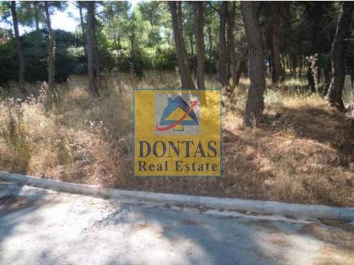 Dionysos, Athens for sale