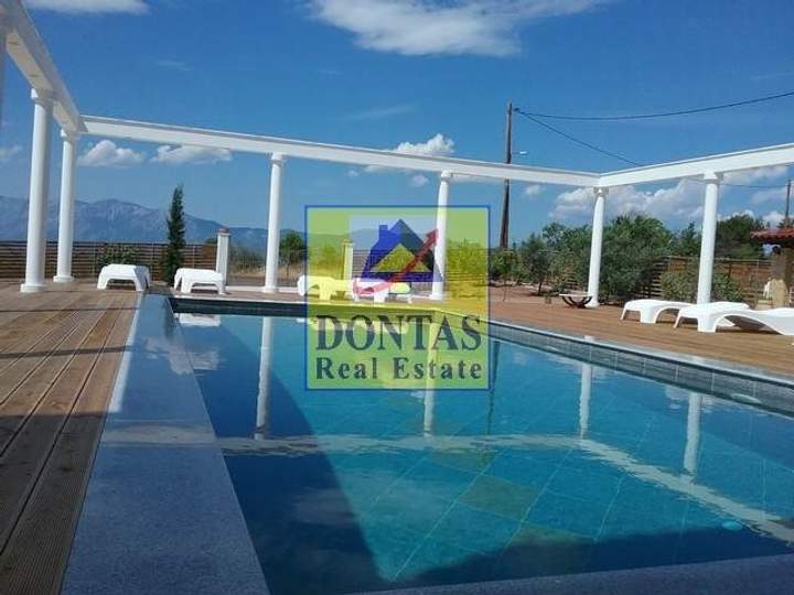 תמונת כלקיס (דרום), אוויה למכירה