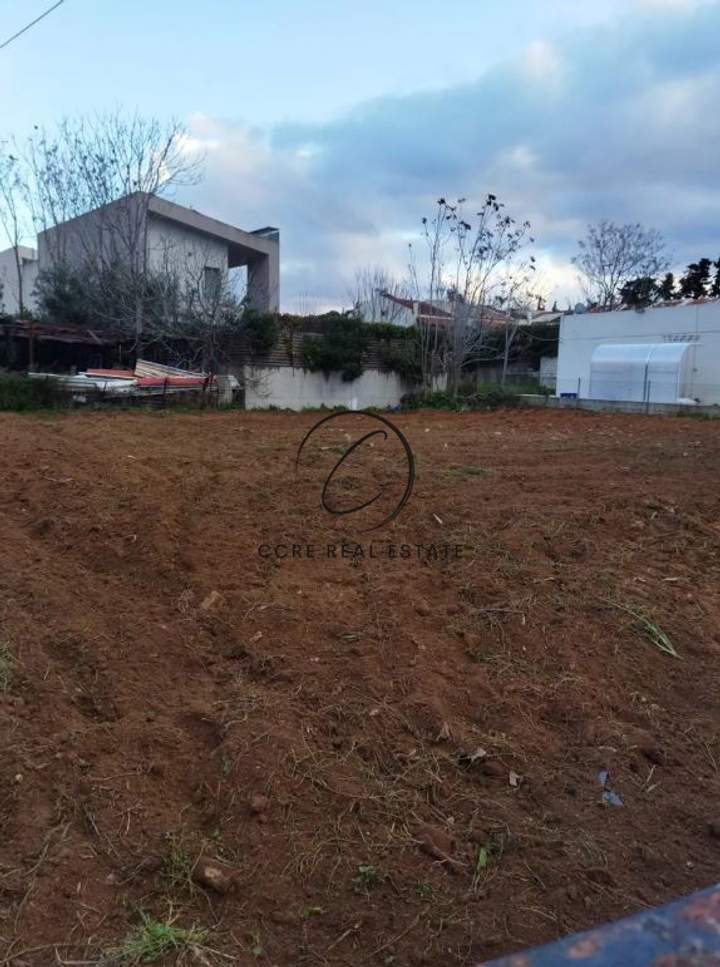 תמונת קיפיסיה, אתונה למכירה