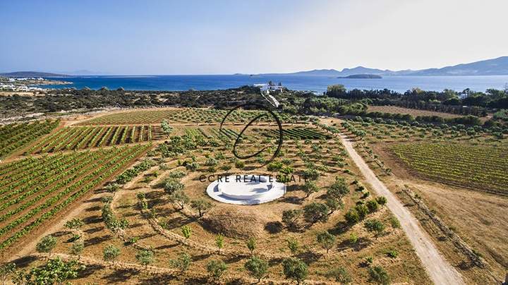 Paros, Cyclades for sale