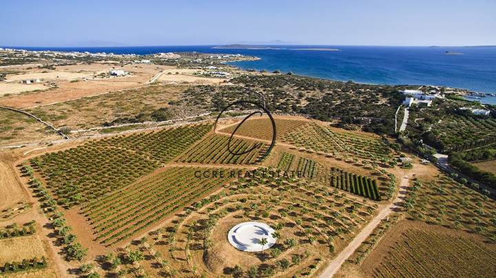 Paros, Cyclades for sale