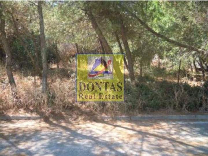 Dionysos, Athens for sale