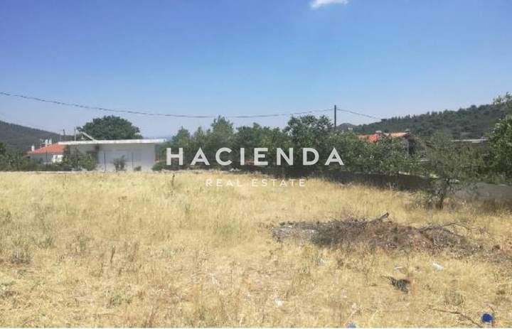Mandra-Eidyllia, Athens for sale