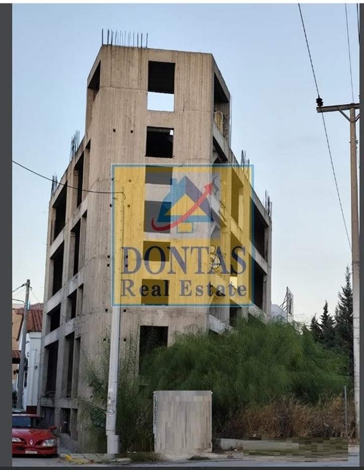 תמונת מטמורפוסי, אתונה למכירה