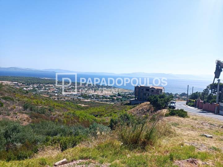 Marathon, Athens for sale