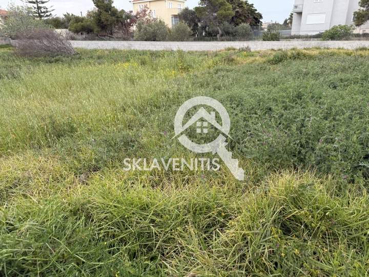תמונת ספטה ארטמידה, אתונה למכירה