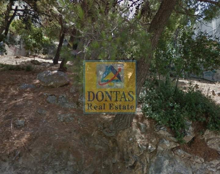 תמונת נאה פאנטלי, אתונה למכירה