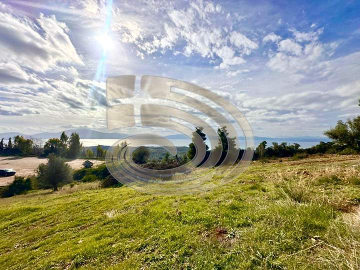 Dirfys - Messapia, Euboea for sale