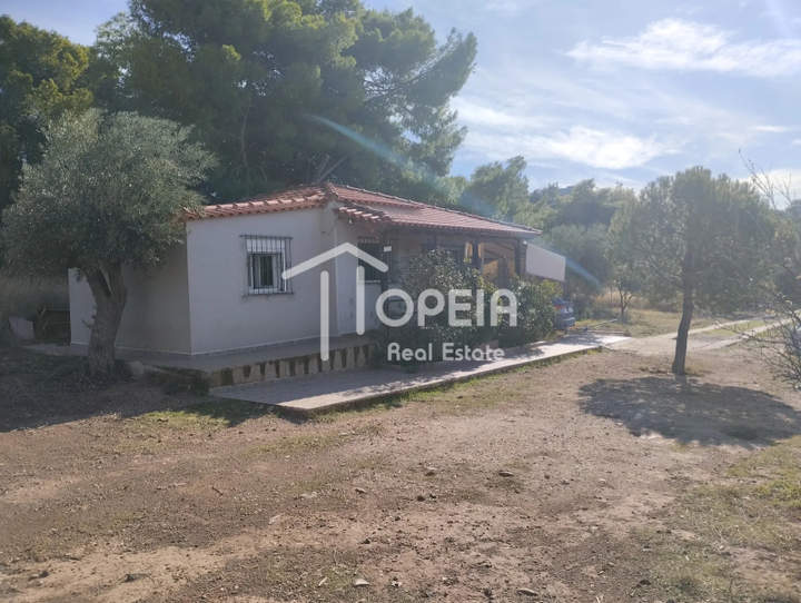 Koropi, Athens for sale