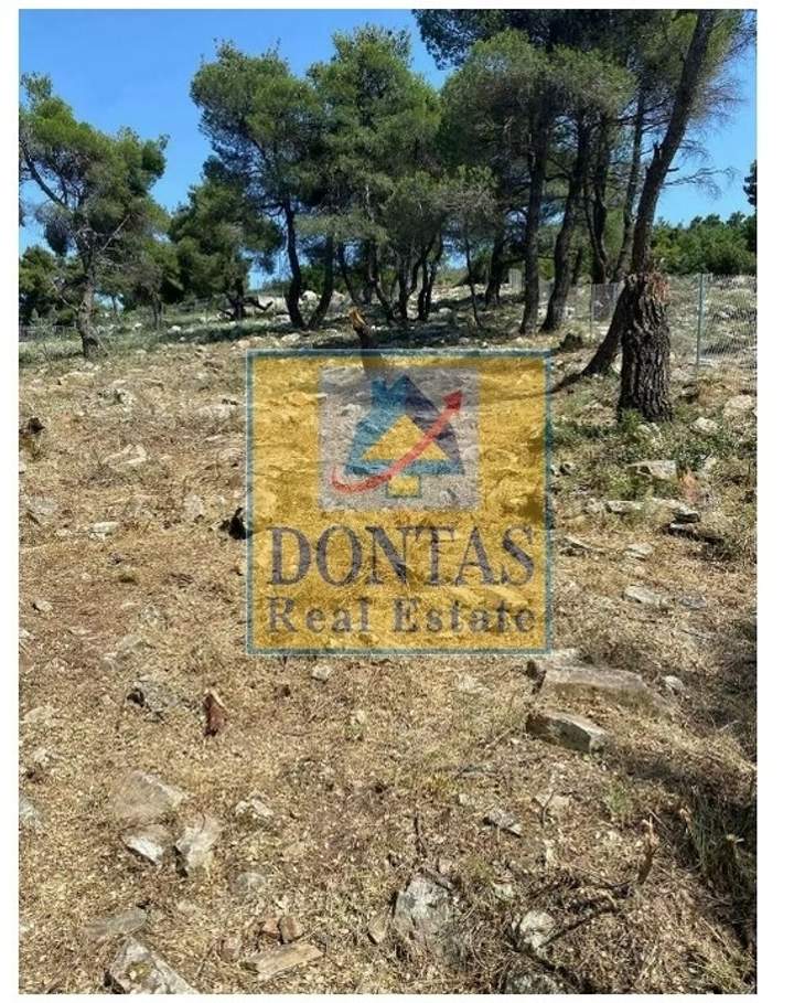 תמונת דיוניסוס, אתונה למכירה