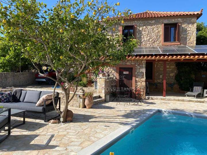 תמונת פילוס ונסטור, פלופונס למכירה