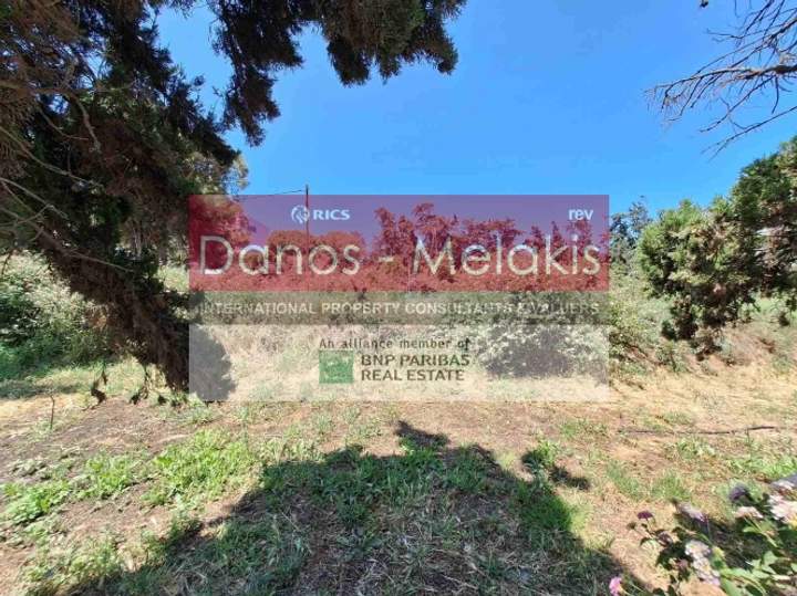 Platanias, Crete for sale