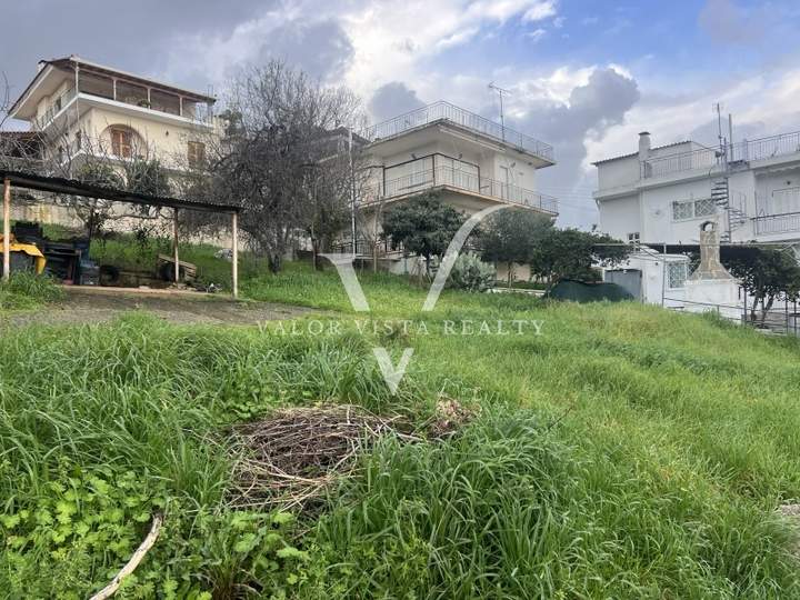 תמונת מסיני, פלופונס למכירה