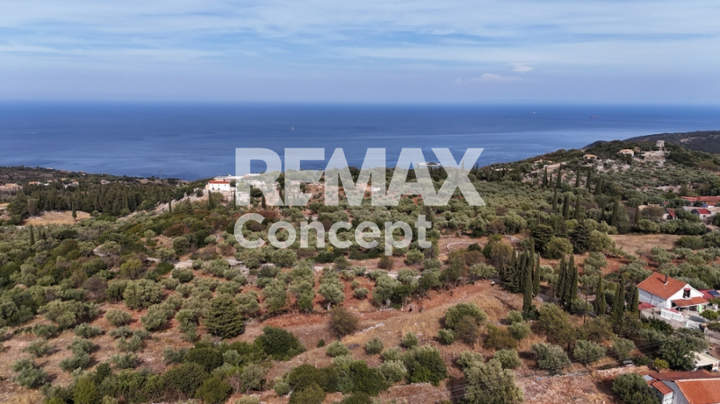 Zakynthos for sale