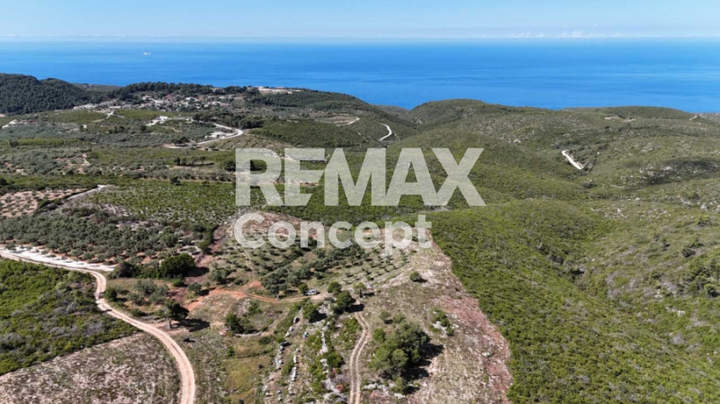 Zakynthos for sale
