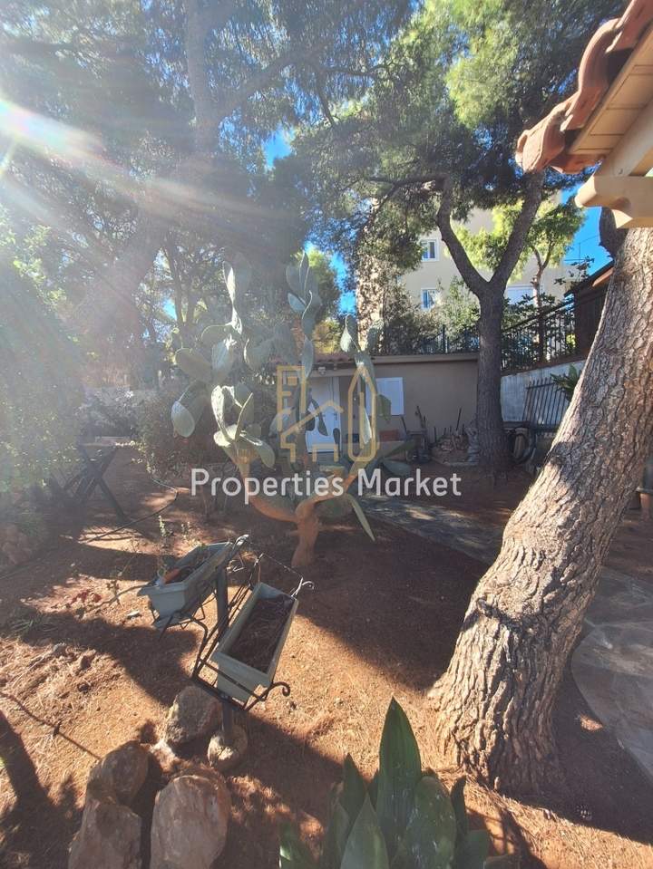 תמונת סרוניקוס, אתונה למכירה