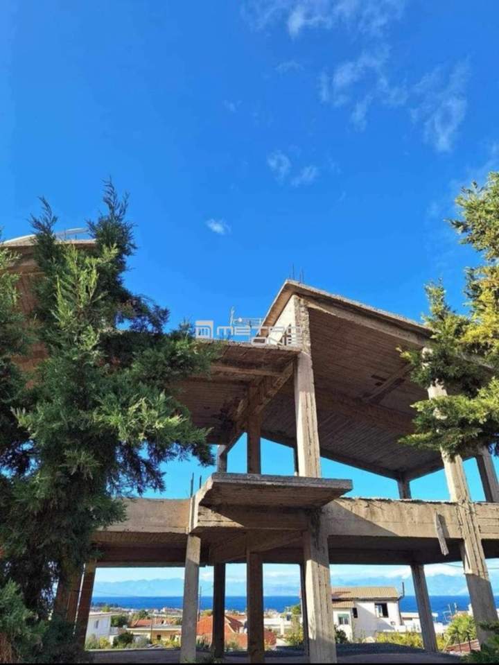 תמונת קסילוקסטרו ואברוסטינה, פלופונס למכירה