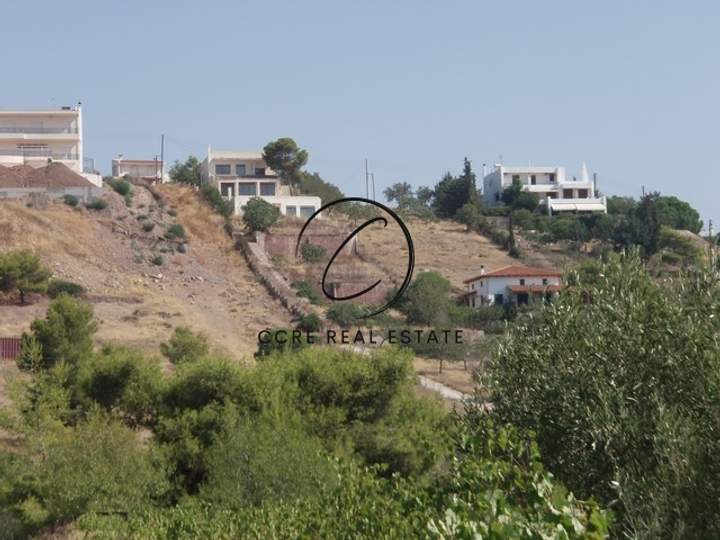 תמונת סרוניקוס, אתונה למכירה